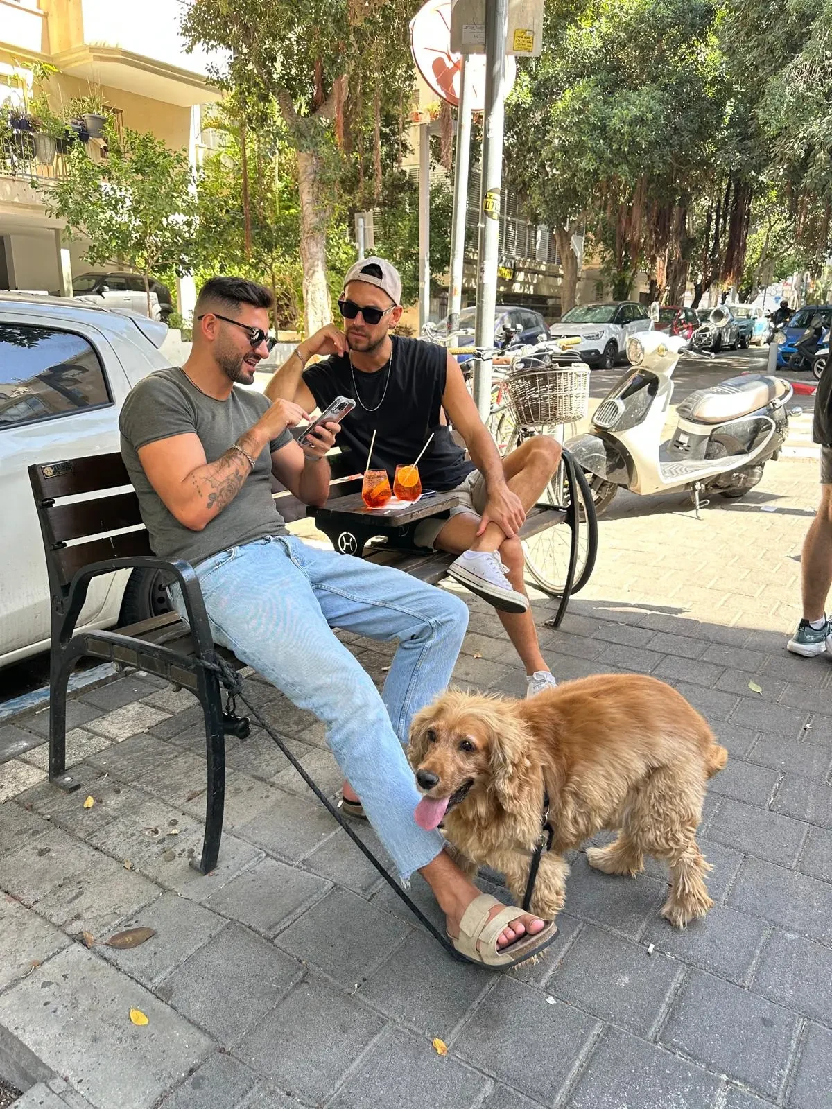 קפה בלפור - תמונה 5