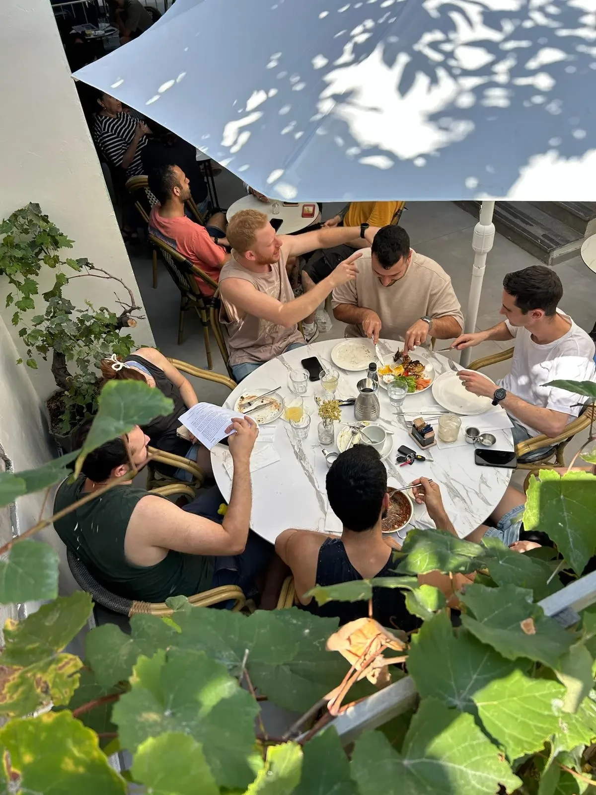 קפה בלפור - תמונה 10