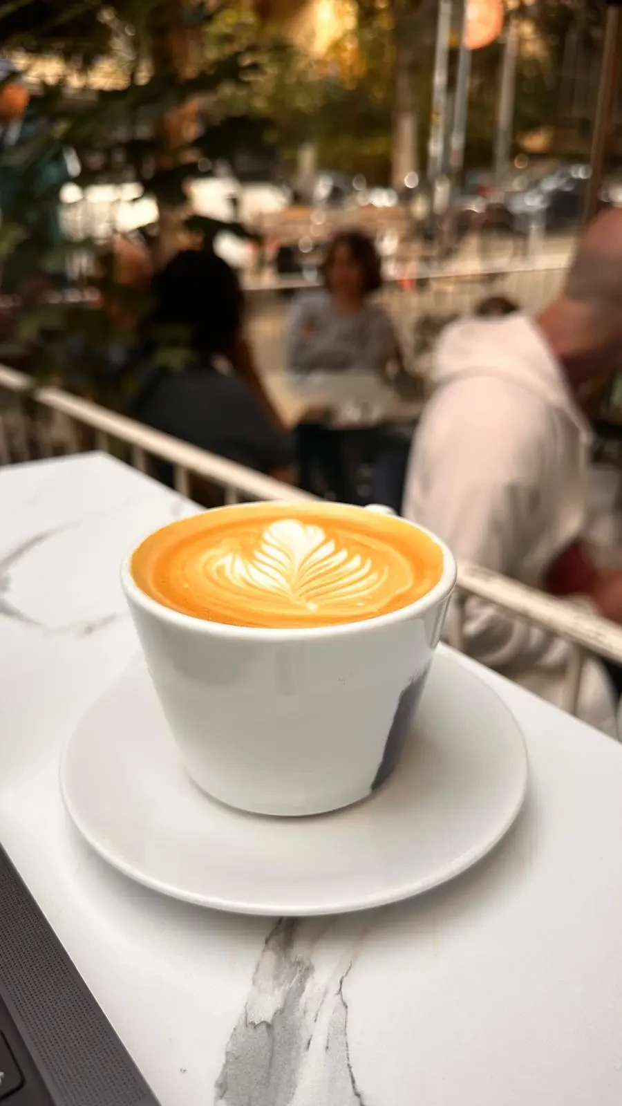 קפה בלפור - תמונה 8